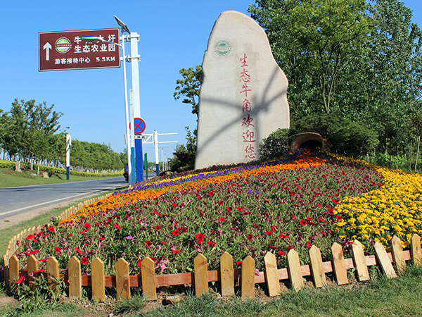 牛角大圩景觀(guān)綠化工程 